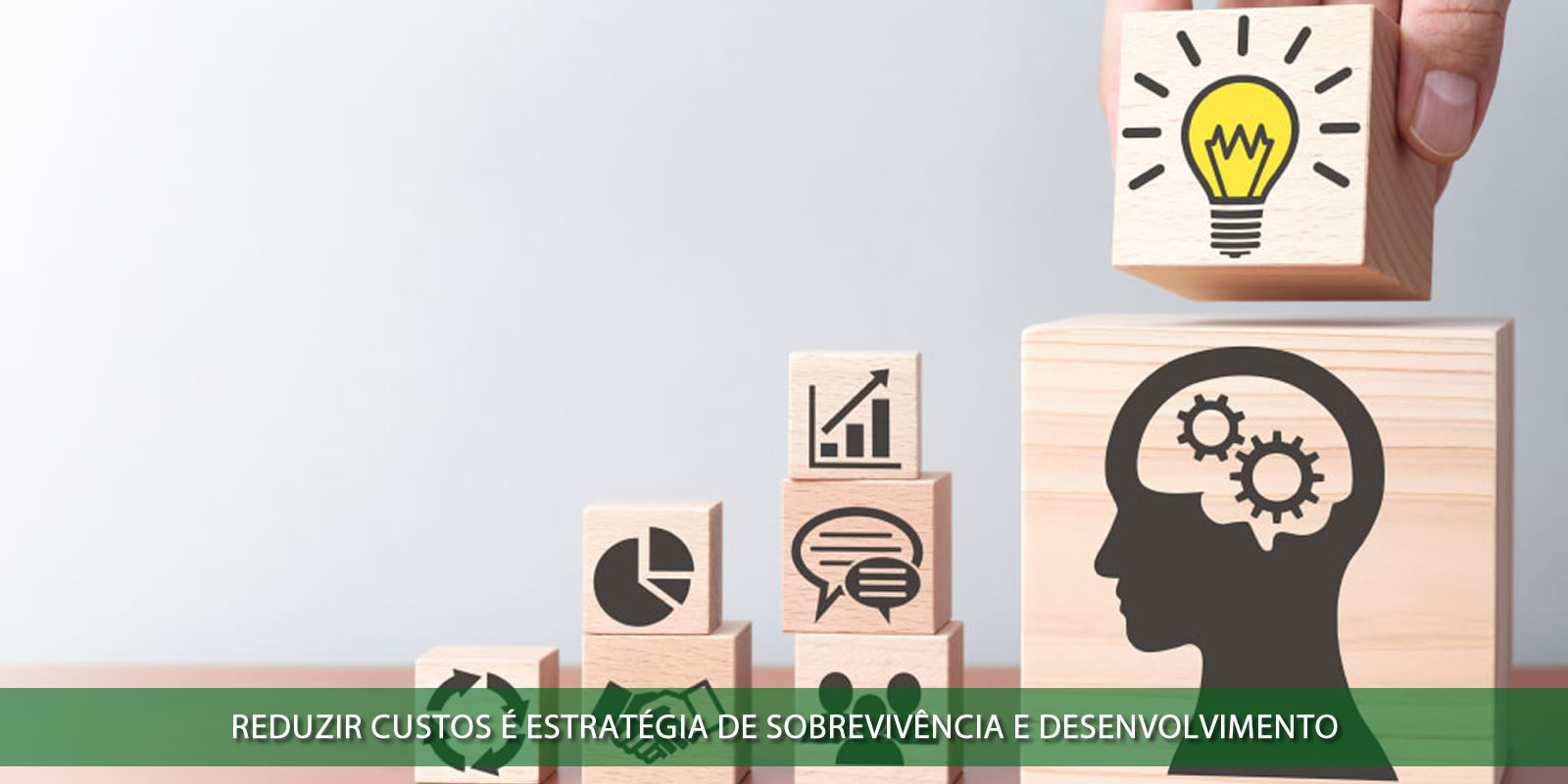 Figura 3 - REDUZIR CUSTOS. O DESAFIO DE EQUILIBRAR CUSTOS SEM COMPROMETER O CRESCIMENTO